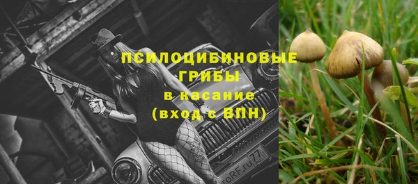 ECSTASY Алексеевка