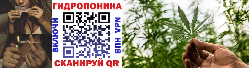 закладка  Каневская  Марихуана THC 21% 